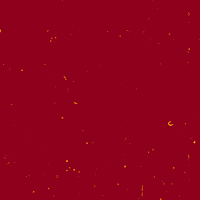 Football Sport GIF by AS Roma