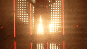 Utah Utes Softball GIF by NCAA Championships