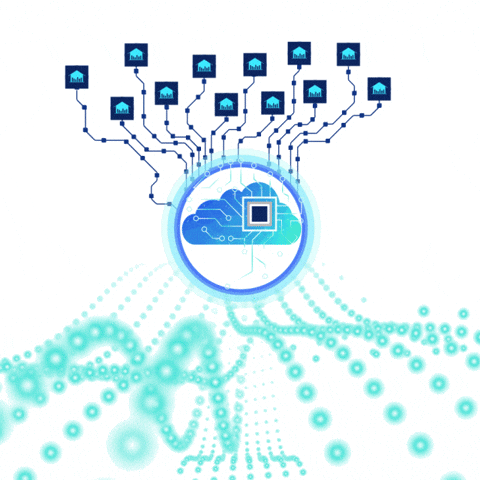Link Building