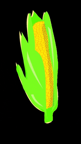 Party Taco GIF by Fairtrade Original