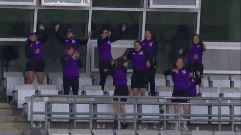 Cricket GIF by The Hundred