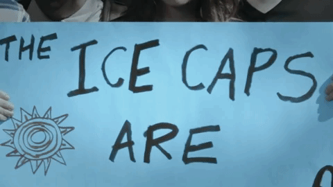 season 8 ifc GIF by Portlandia
