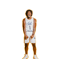 Ncaa Basketball Sticker by Cal Athletics