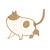 Cat Sticker