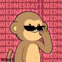 Coffee Work GIF by Wise Monkey Meme