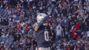 Football Nfl GIF by New England Patriots