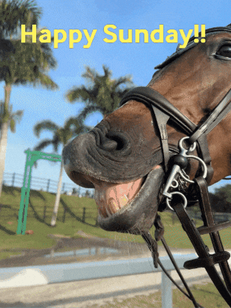 Happy Sunday Smile GIF by Eye Candy Jumpers