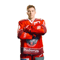 Goal Win Sticker by Eisbären Regensburg