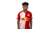 Scream Cheer Sticker by FC Red Bull Salzburg