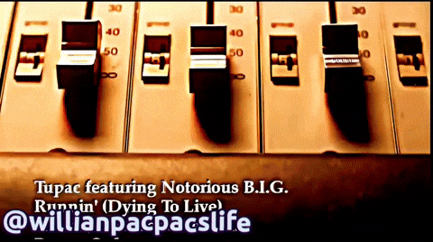Willianpacpacslife GIF