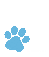 Dog Paws Sticker by Gruppo Animalia