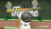 College Baseball Simon GIF by GreenWave