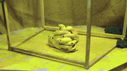 animation GIF by Qieer Wang