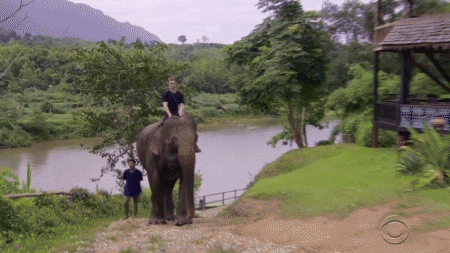 cbs travel GIF by tyler oakley