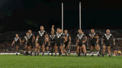 rugby league rlwc GIF by NRL