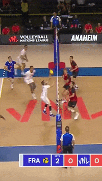 Germany Sport GIF by Volleyball World
