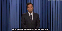taylor swift lol GIF by The Tonight Show Starring Jimmy Fallon