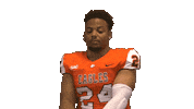 Happy Phone Call Sticker by Carson-Newman Athletics