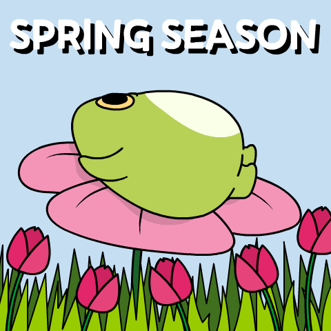 Bitcoin Spring GIF by Ordinary Frends
