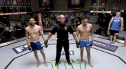 the ultimate fighter winner GIF