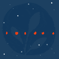 Plant Based Fire GIF by Flora Plant Butter