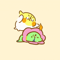 Niaoshiduo GIF