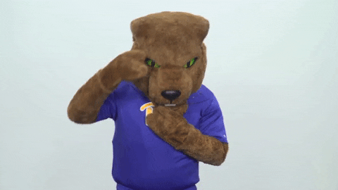 confused college sports GIF by Pitt Panthers