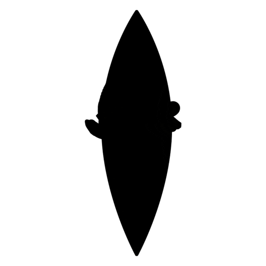 mar rip curl pro Sticker by MOCHE