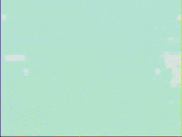 Skarmuse vhs adorable video art spiritual GIF