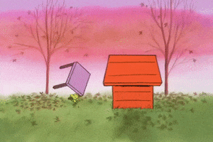 charlie brown thanksgiving GIF by Peanuts