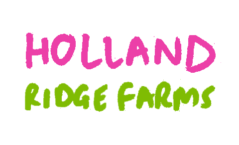 hollandridgefarms giphyupload sunflower holland tulip Sticker