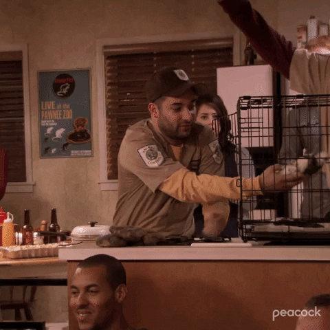 Season 3 Bird GIF by Parks and Recreation