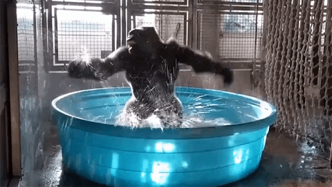 gokayuyan13 giphyupload GIF