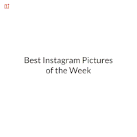 GIF by OnePlus