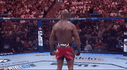 Mixed Martial Arts Sport GIF by UFC