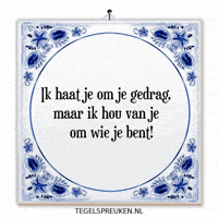 Nl Spanning GIF by Tegelspreuken.nl