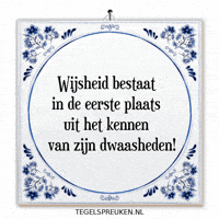 Humor Nl GIF by Tegelspreuken.nl
