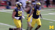 College Football Mood GIF by Michigan Athletics