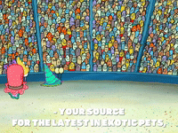 Episode 1 GIF by SpongeBob SquarePants