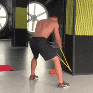 primazon giphyupload GIF