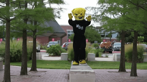 Wu_Shock giphyupload college wsu wu GIF