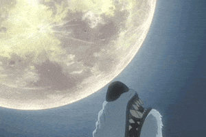 wolf's rain wolf GIF