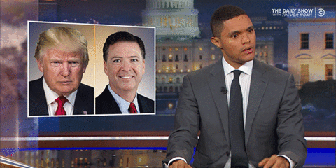 the daily show what GIF by The Daily Show with Trevor Noah