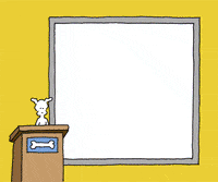 chippythedog chippythedog GIF