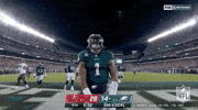Philadelphia Eagles Football GIF by NFL