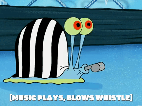 season 5 new digs GIF by SpongeBob SquarePants