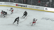 Sport Goal GIF by Ontario Reign