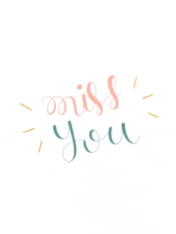 schuttelm love lettering miss you tbt GIF