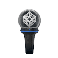 Jung Yong Hwa Lightstick Sticker