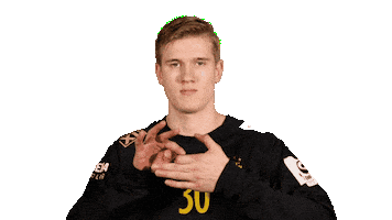 Handball Goalkeeper Sticker by EHF